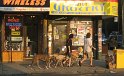 Dog walker, New York
